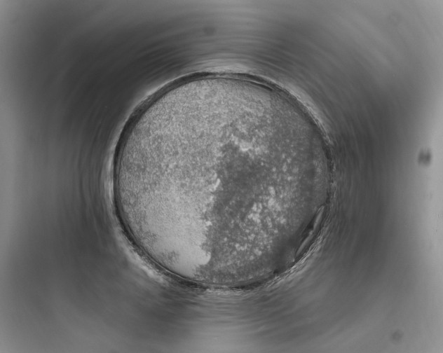 X0000097670840200803211940