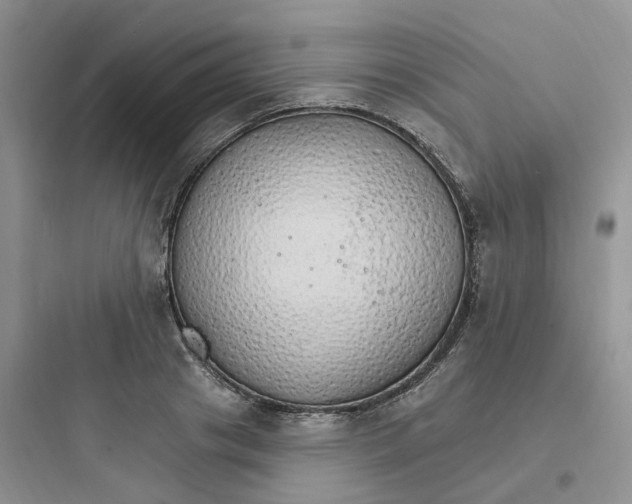 X0000097670841200803211940