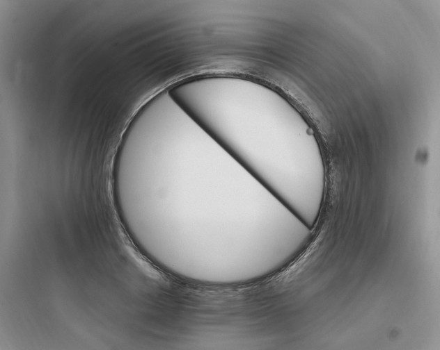 X0000097670842200803211940