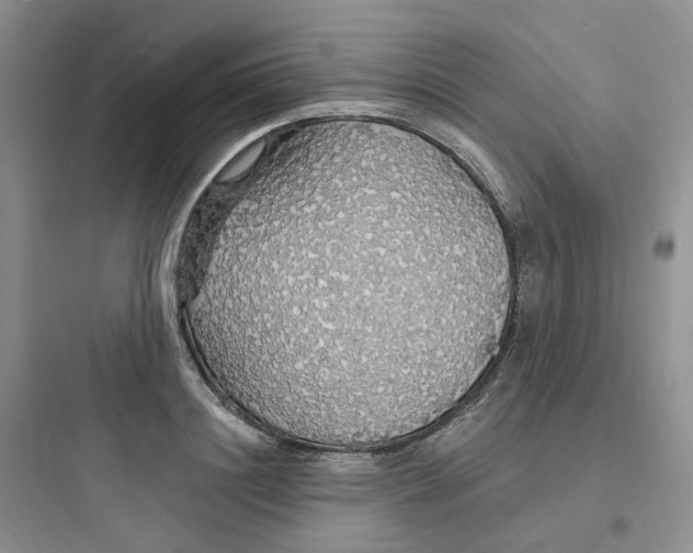 X0000097670844200803211940