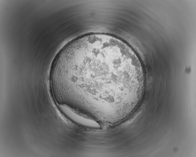 X0000097670845200803211941