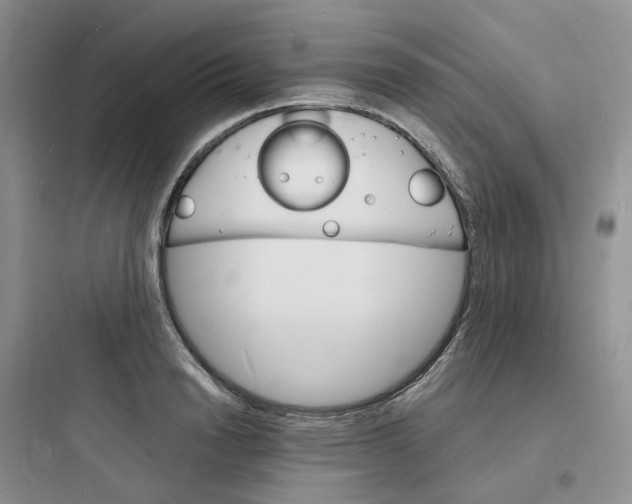 X0000097670846200803211941