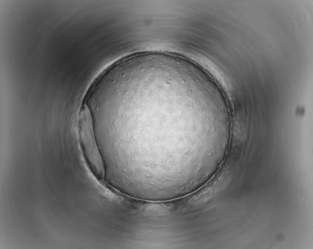 X0000097670847200803211941