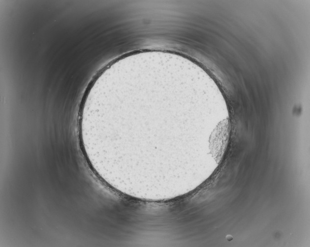 X0000097670848200803211941