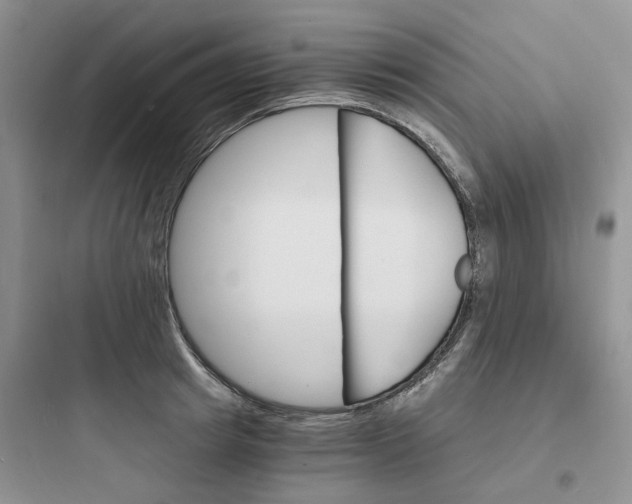 X0000097670849200803211941