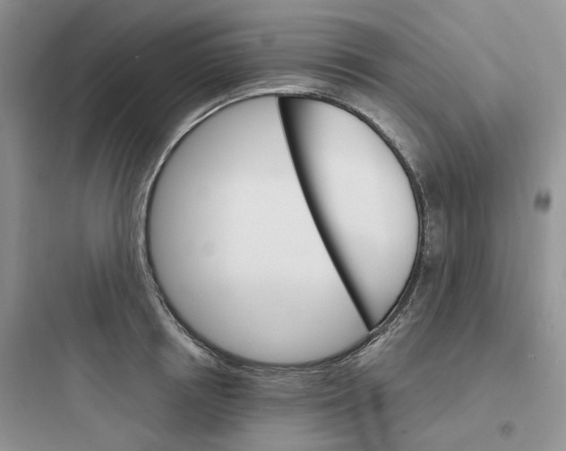 X0000097670850200803211941