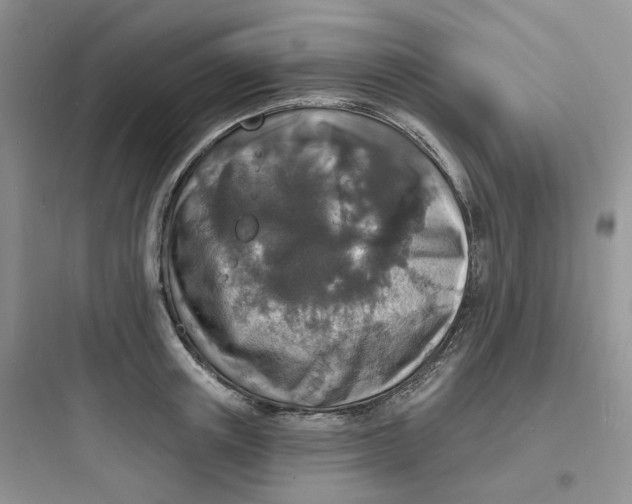 X0000097670851200803211941