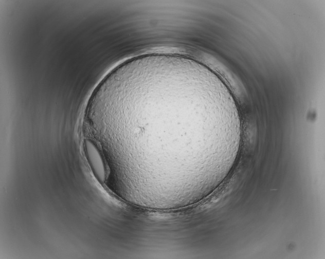 X0000097670852200803211941