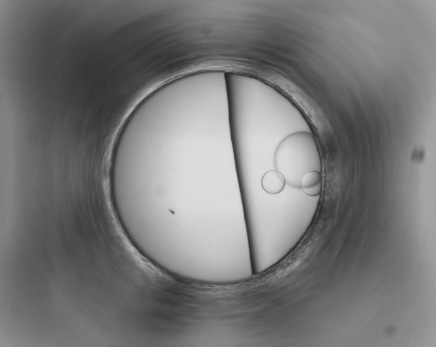 X0000097670853200803211941