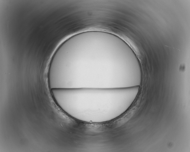 X0000097670854200803211941