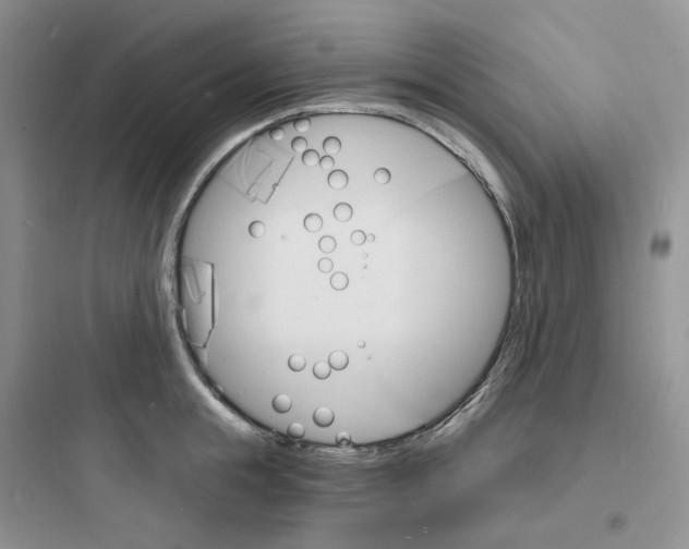 X0000097670855200803211941