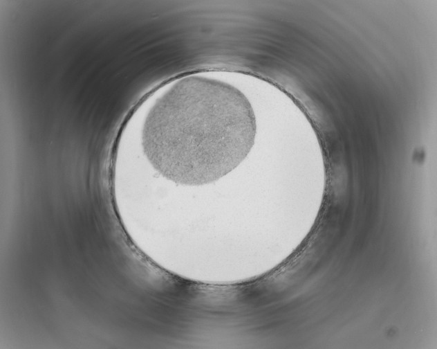 X0000097670856200803211941