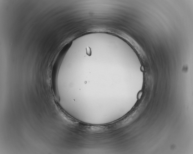 X0000097670857200803211941