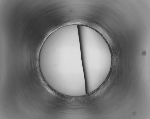 X0000097670858200803211941