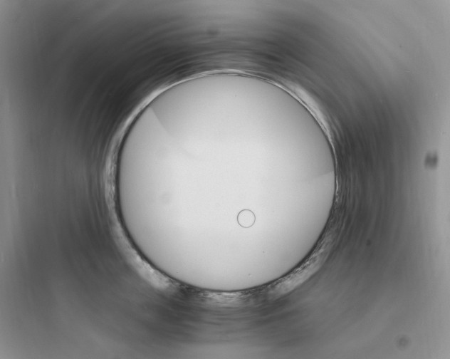 X0000097670859200803211941