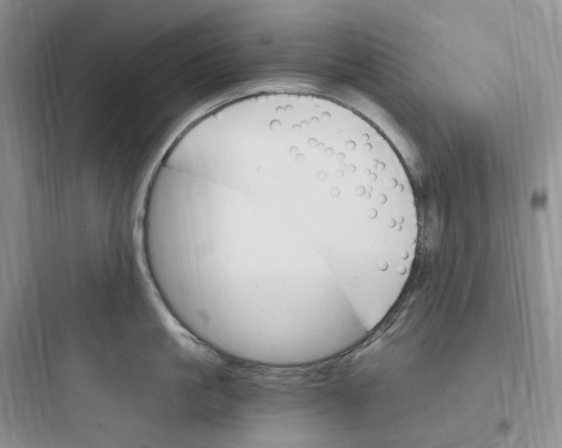 X0000097670861200803211941