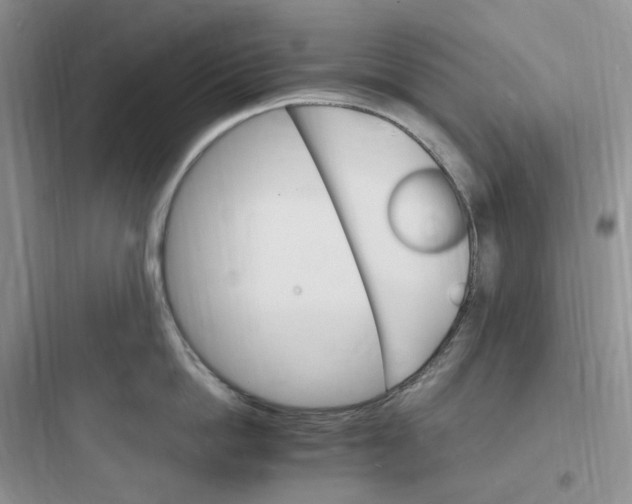 X0000097670862200803211941