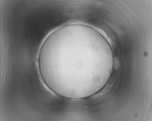 X0000097670863200803211941