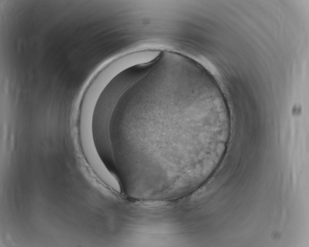 X0000097670864200803211941