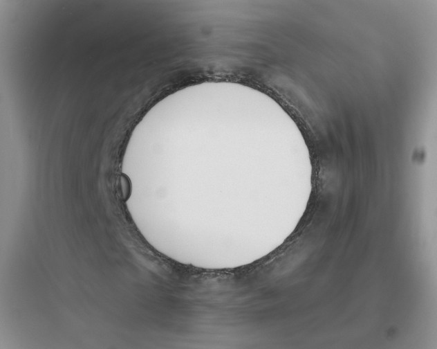 X0000097670865200803211940