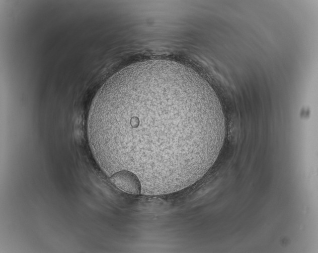 X0000097670866200803211940