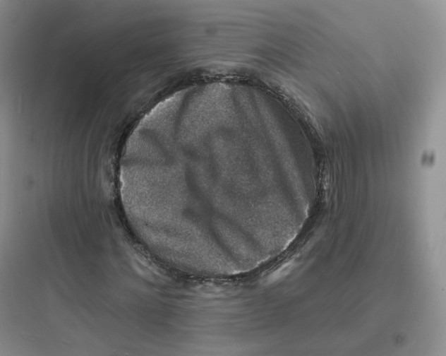 X0000097670868200803211940