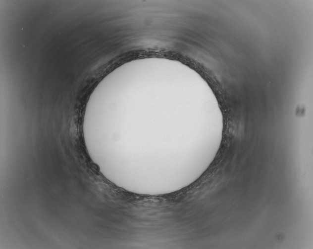 X0000097670869200803211940