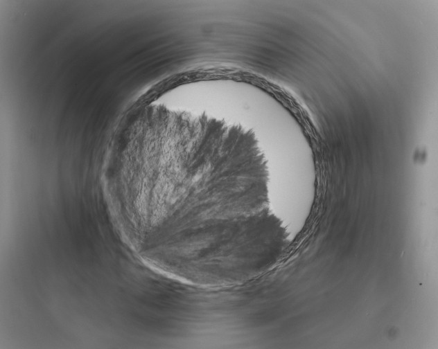 X0000097670871200803211940