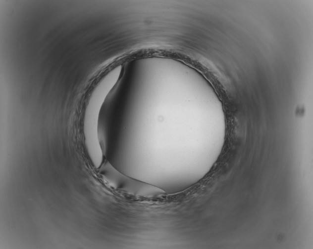 X0000097670872200803211940