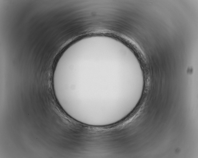 X0000097670873200803211940