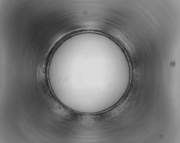 X0000097670875200803211940