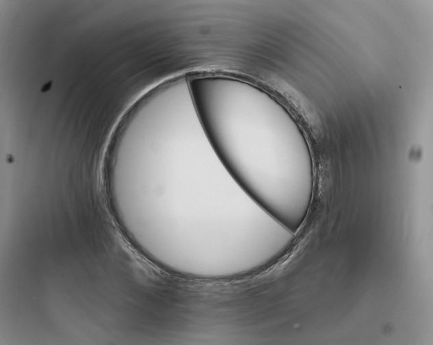 X0000097670876200803211940