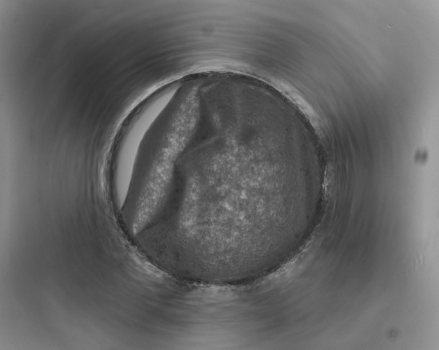 X0000097670877200803211940