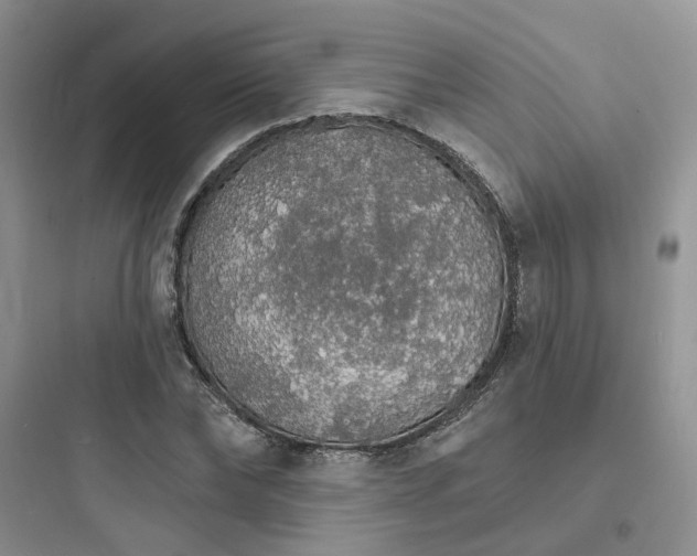 X0000097670878200803211940