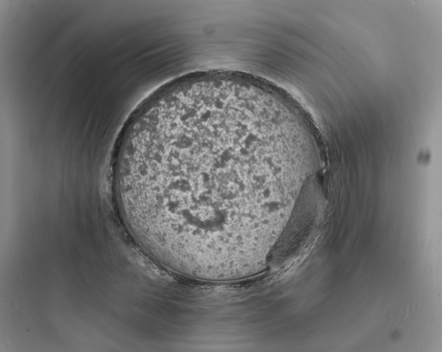 X0000097670879200803211940