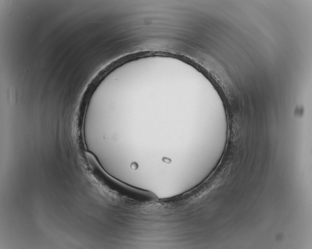 X0000097670880200803211940