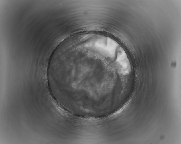 X0000097670881200803211940