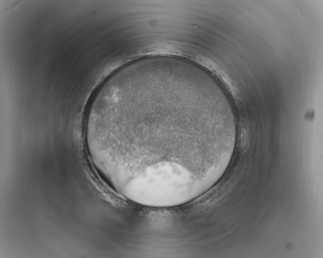 X0000097670882200803211940