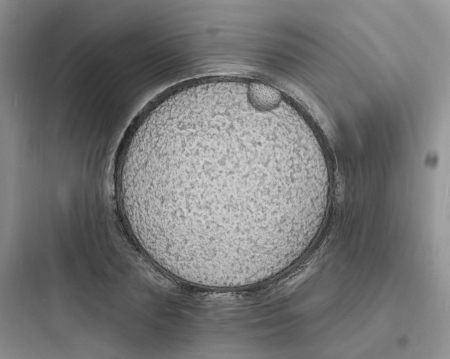 X0000097670883200803211940