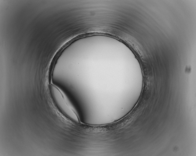 X0000097670884200803211940