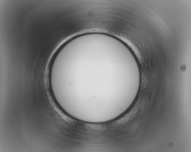 X0000097670886200803211940