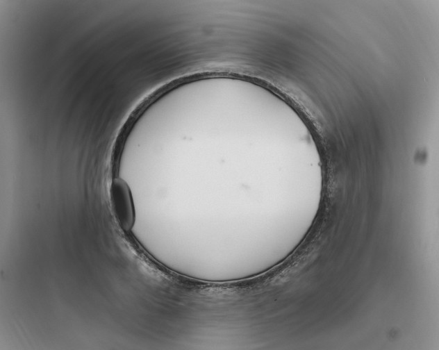 X0000097670888200803211940