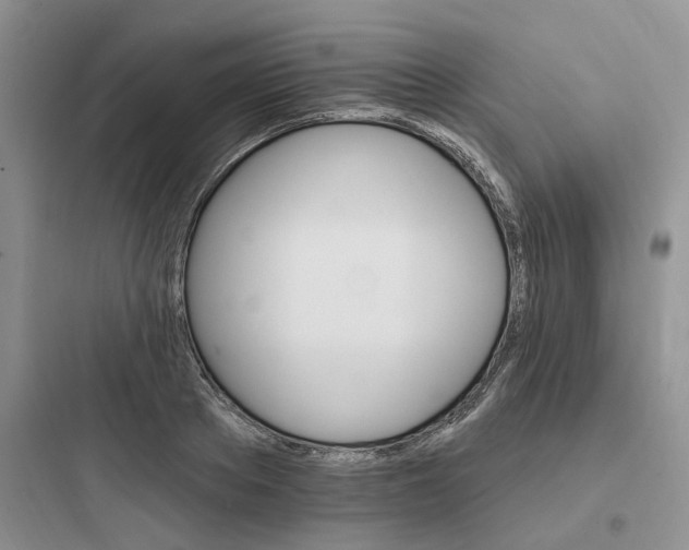 X0000097670889200803211940