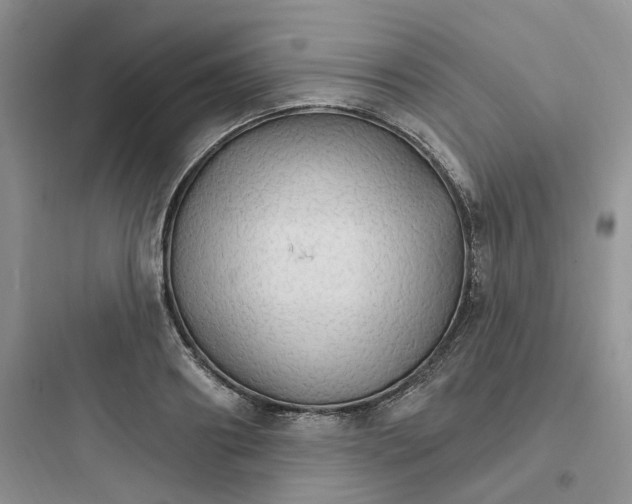 X0000097670890200803211940