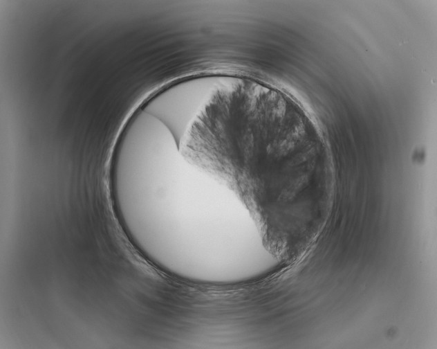 X0000097670891200803211940