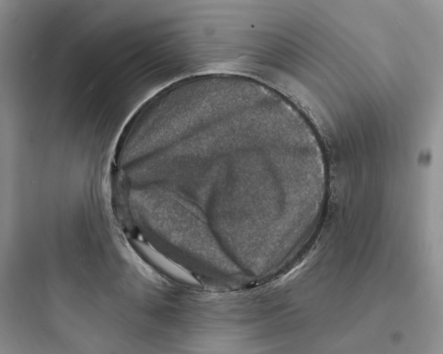 X0000097670892200803211940