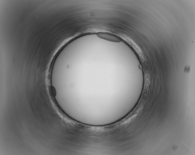 X0000097670893200803211940