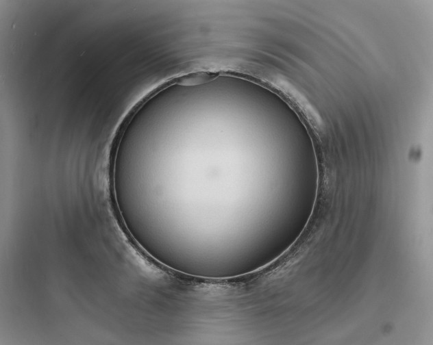 X0000097670894200803211940