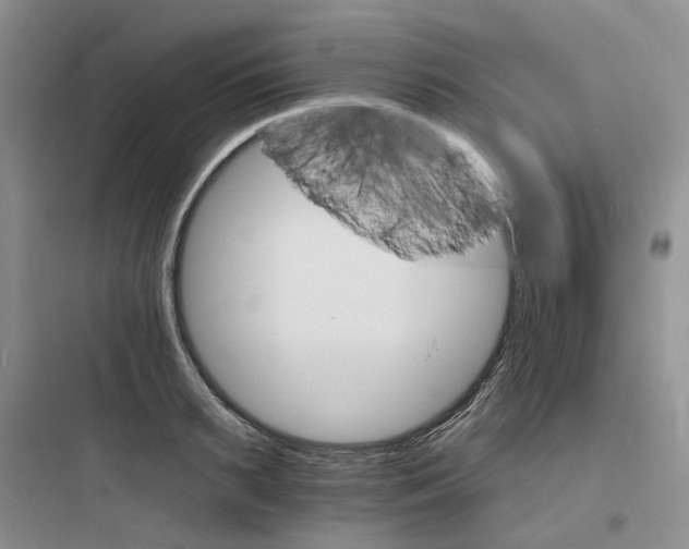 X0000097670895200803211940