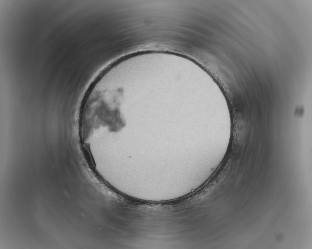 X0000097670896200803211940